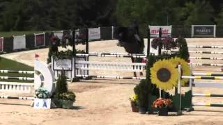 Video Of Chicago V.h. Moleneind Ridden By Ashley R. Fleischhacker From Shownet