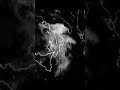 03.09.2024 Италия 14:45 по Киеву