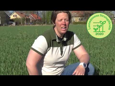 Video: Vad är syftet med lantbruksanpassningslagen?