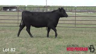 Information Lot 82 Tifton HERD 2025 News