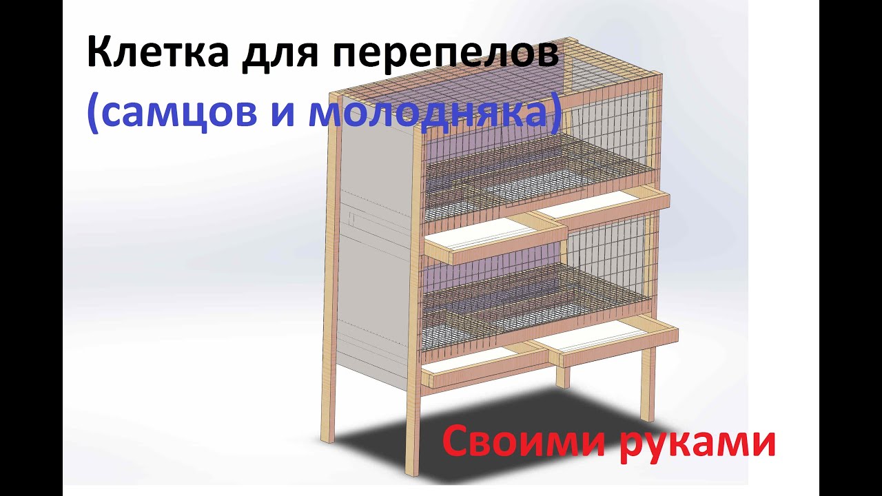 Клетка для перепелов (самцов и молодняка) своими руками - YouTube