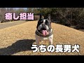 勝手に制定!8月23日は823でハチ兄さんの日w