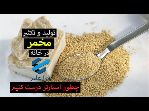 آموزش ساخت استارتر شراب مخمر در شراب سازی