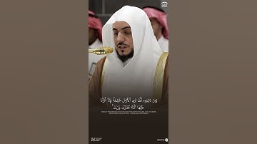 تلاوة من #سورة_فصلت #الشيخ_الوليد_الشمسان #مكة_المكرمة #الحرم_المكي #المدينة_المنورة #الحرم_النبوي