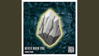 Never Knew You