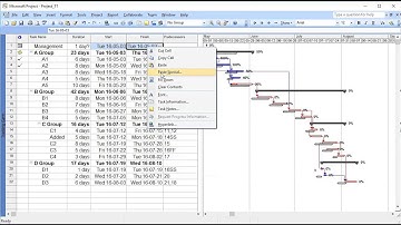 Level Of Effort (LOE) Hammock