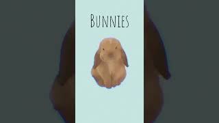 Bunnies (Cover by GK) #cover #popmusic #music #trending #shorts