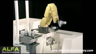 Fanuc Robocut Alpha-iA by Alfa Metal Machinery 237 views 10 years ago 4 minutes