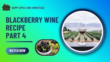 Blackberry Wine Recipe - Part 4