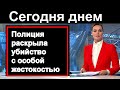 Полиция России раскрыла убийство с особой жестокостью