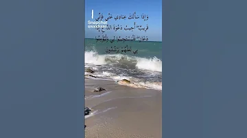 واذا سالك عبادي عني فاني قريب قران كريم راحة نفسية 
