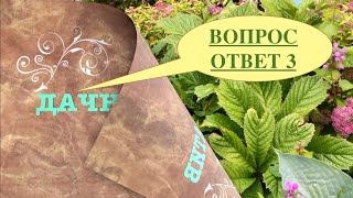 ВОПРОС / ОТВЕТ. ВСЕ ПРО ДАЧУ. ЧАСТЬ 3.