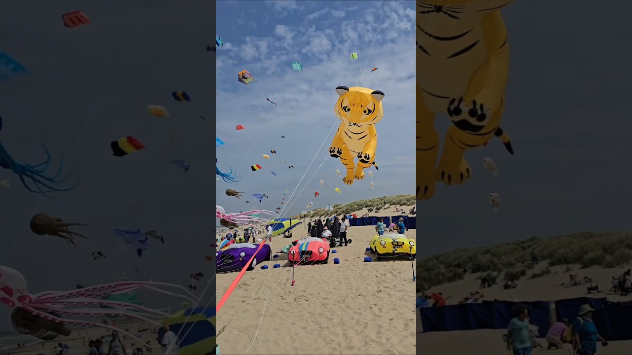 ✨️✨️✨️ #trending #youtubeshorts #kite #beach #summer