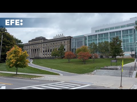 Profesores de Cornell denuncian que se silencien las protestas en la universidad
