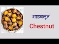 Dry fruits names||Nuts and Seeds||Learn different names||English vocabulary||