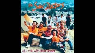 Never Mind The Strangers - The Saw Doctors