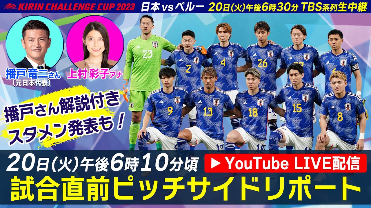 ボスニア代表 ハイロビッチ着用 ジャージ(キリンチャレンジ ボスニア代表 ハイロビッチ着用 ジャージ(キリンチャレンジ