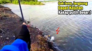 MANCING KAKAP PUTIH DI SORE HARI,lempar pas di sarang nya.