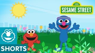 Sesame Street Plant Pose Monster Yoga With Elmo And Grover