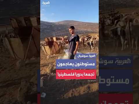 مستوطنون يهاجمون قرية فلسطينية بدوية في مسافر يطا جنوبي الخليل