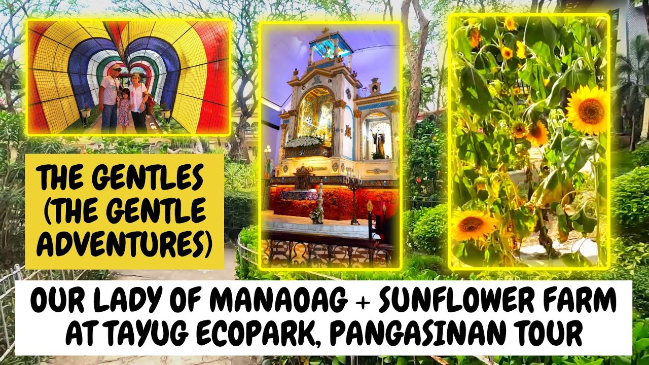 Manaog and Tayug Sunflower Farm + Pangasinan Foodtrip The Gentles