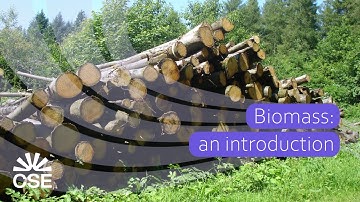 Biomass: an introduction