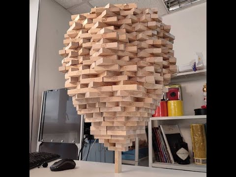 დანიელმა ჯენგა არ დაინდო