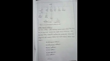 HSC 2022 Agricultural assignment