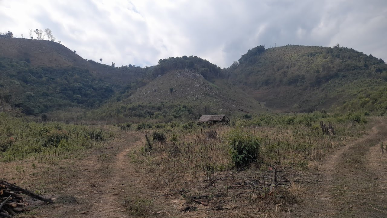 looj mem noog puag qe