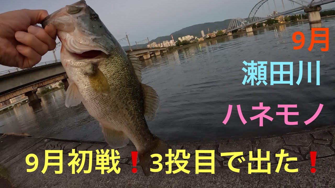 【バス釣り】トップで出た❗️琵琶湖
