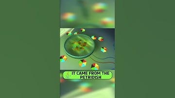 It Came from The Petridish - Game of the Day!  #gaming #flashgames