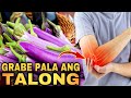 Ito ang matinding dahilan kung bakit maraming pinoy ang nagtatanim ng talong  eggplant benefits