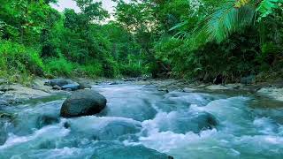 utilize natural sounds to calm the mind, the calm gurgling of water