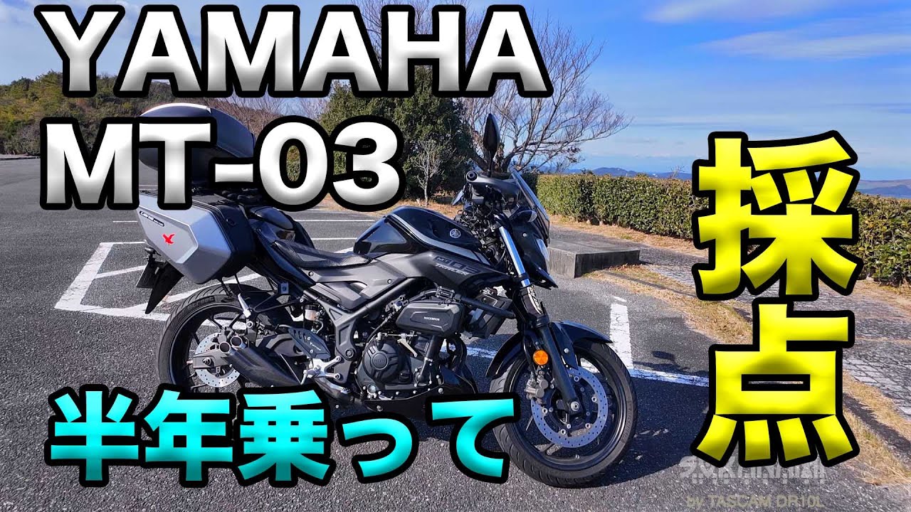 MT03半年経って採点してみた！】空波鳥の呟き2024 - YouTube