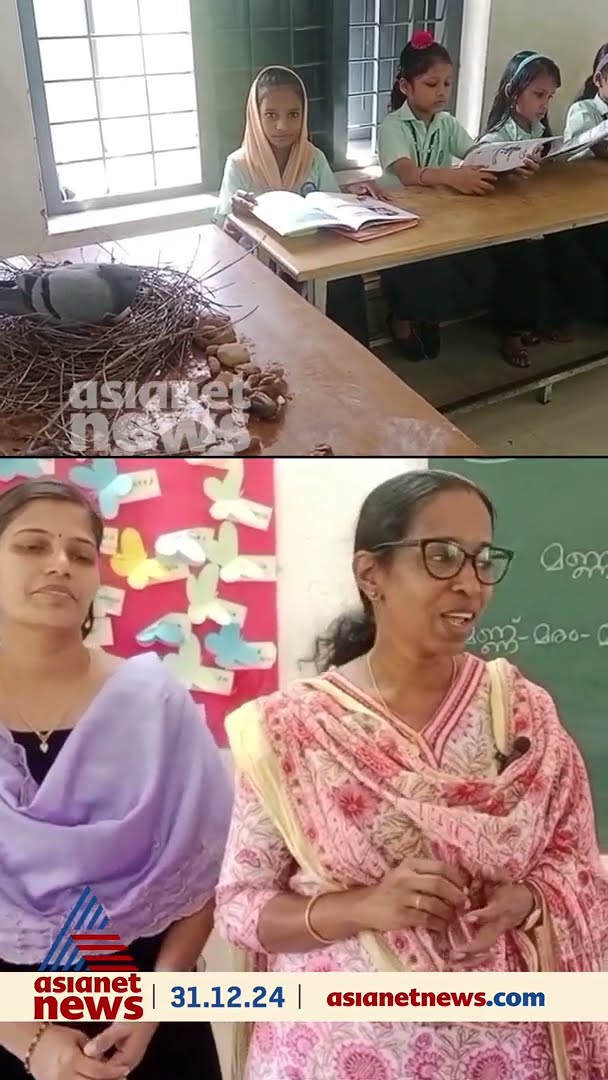 കുട്ടികളും പ്രാവും ചങ്ങാത്തത്തിൽ, ക്ലാസ് മുറിയിൽ കൂടുകൂട്ടി മുട്ടയിട്ട് പ്രാവ്.