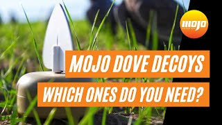Mojo Dove Decoys: Which ones do you need?