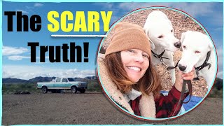 Am I Safe as a Solo Woman Living in my Truck? by jills journals 231 views 3 months ago 19 minutes