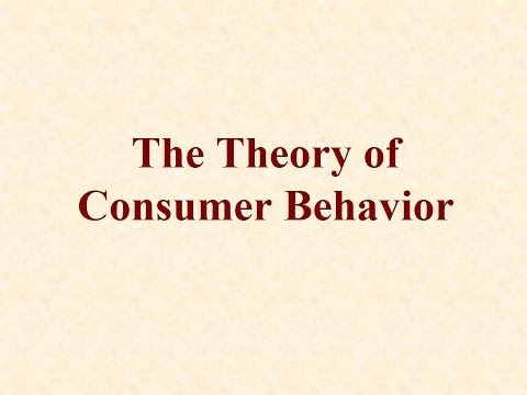 Theory of Consumer