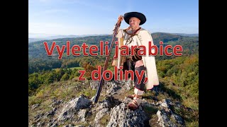 Vyleteli jarabice z doliny, Nádherná Slovenská Ľudová pieseň. Hrá Akordeón Popis a text, nižšie.