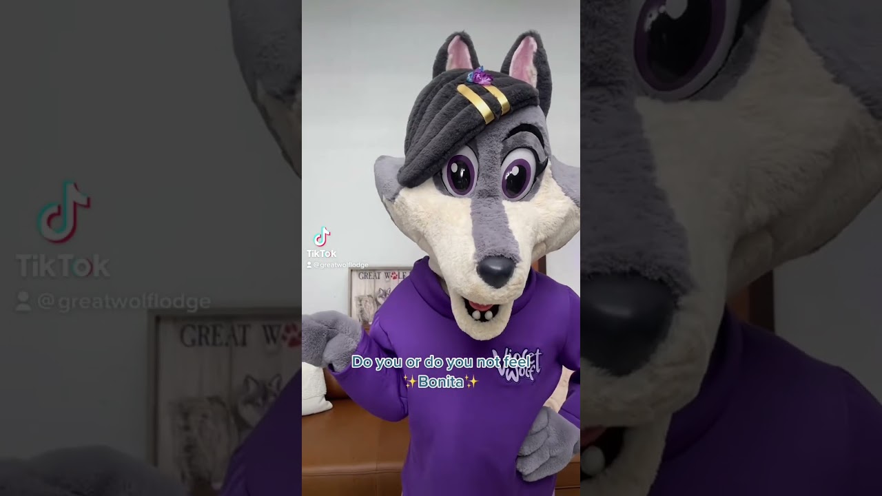 Great Wolf Lodge Lifeguard Reviews | Glassdoor