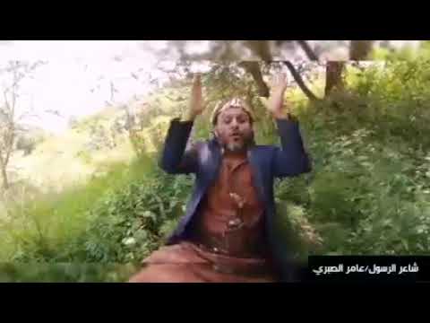 أقوى قصيده يمنيه للشاعر عامر الصبري يرد فيها على الشرموطه عبير سالم التي سبت أزكى البشريه 