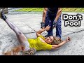 When Karens With Attitude Meet No-Nonsense Cops