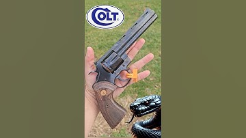 Presenting The Colt Python .357 Revolver 🐍
