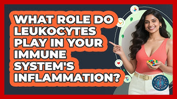 What Role Do Leukocytes Play In Your Immune System