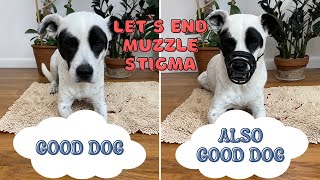 Behind every muzzle is a good dog