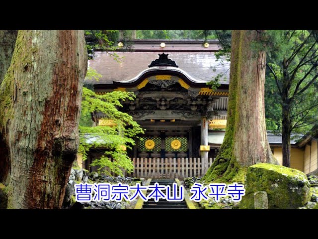 曹洞宗 大本山 永平寺所蔵 永平禅師録 影本 全巻揃 桐箱 曹洞宗大本山永平寺改築全図(熊沢泰禅) / うたたね文庫 / 古本