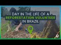 A day in the life of a reforestation volunteer in brazil  earthwatch