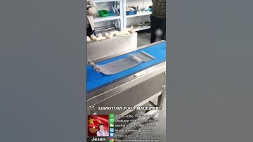 No.X126|whatsapp8615966151202|全自動春卷機Automatic spring rolls  machine| Automatic loempia machine#food
