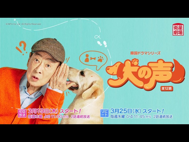 私たち、家族です」DVD-BOX 12/3～発売！ - YouTube