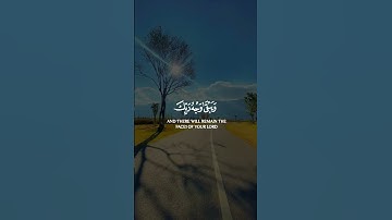تلاوة خاشعة من سورة الرحمن - كل من عليها فان